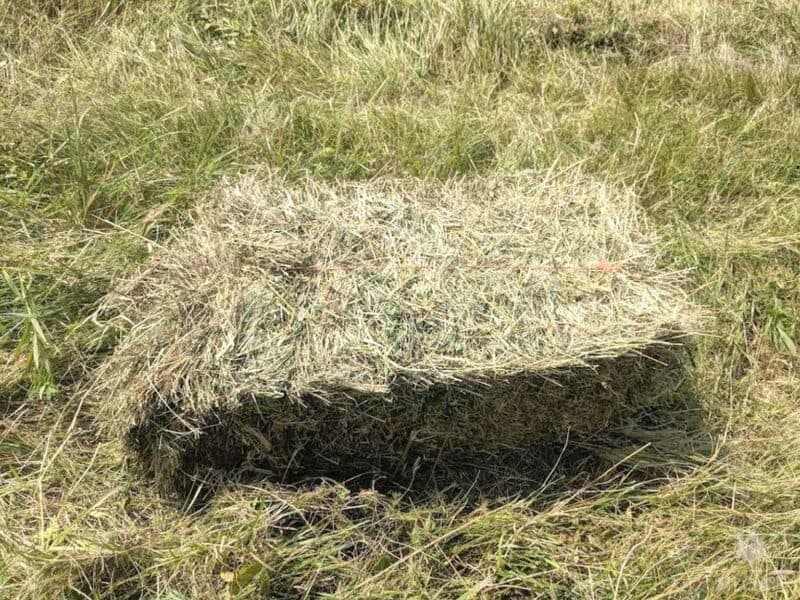a square hay bale