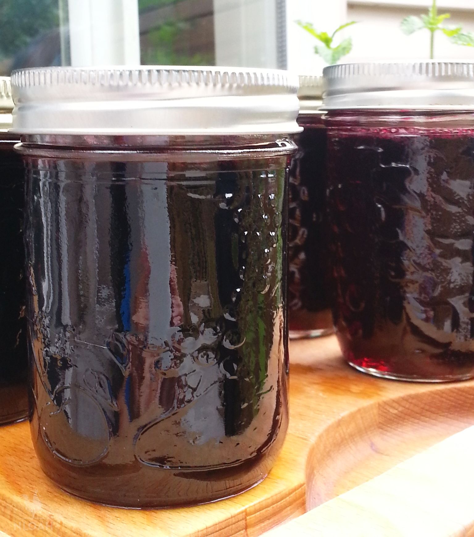 two jars of blackberry jelly