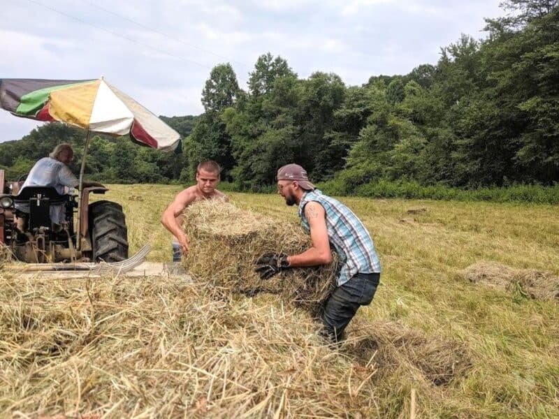 two men lifting a bale of hay with loose string