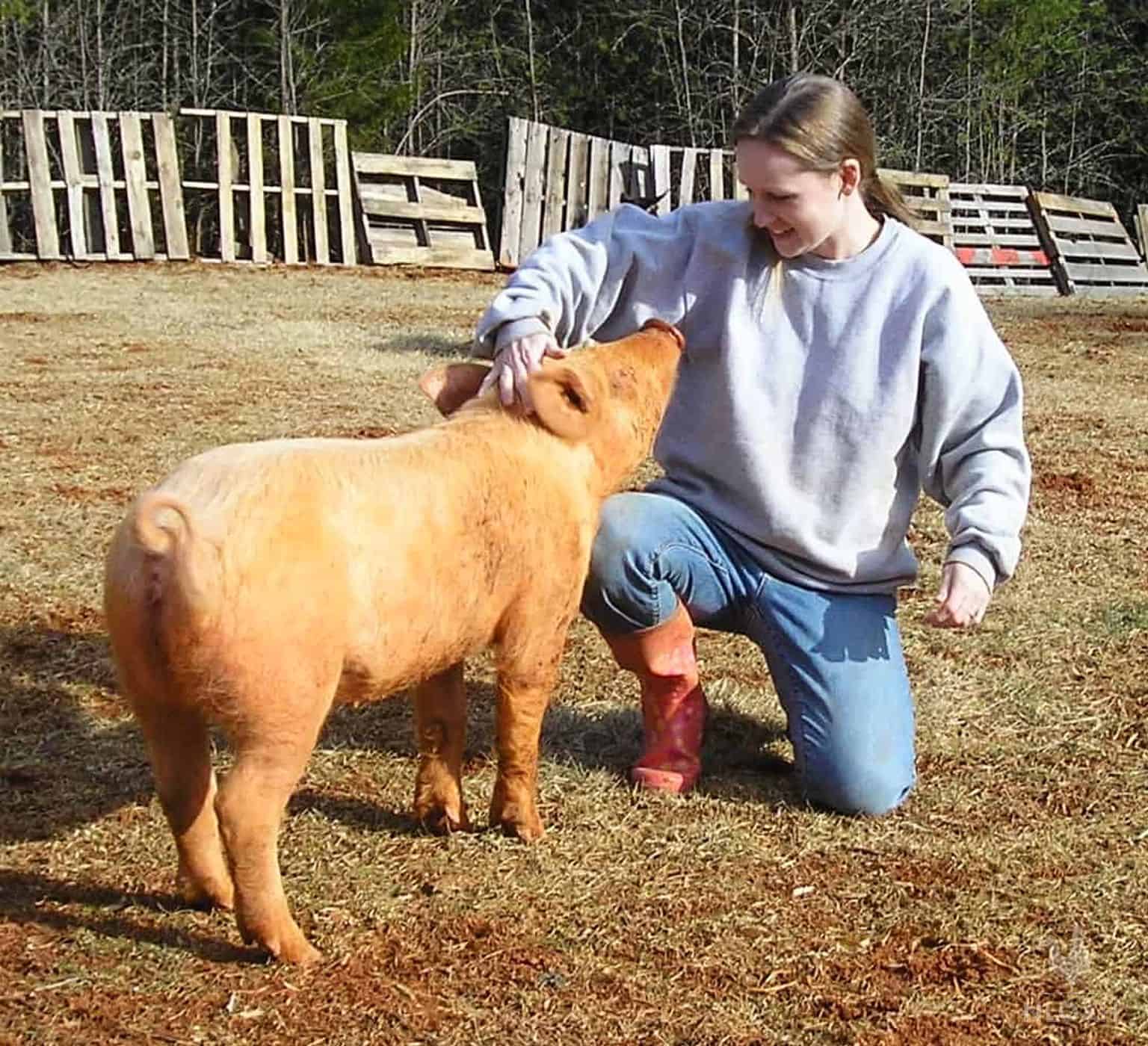 woman petting a pig