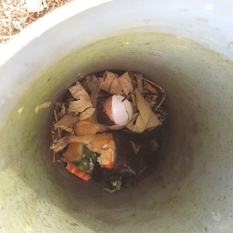 worm compost bin inside PVC pipe