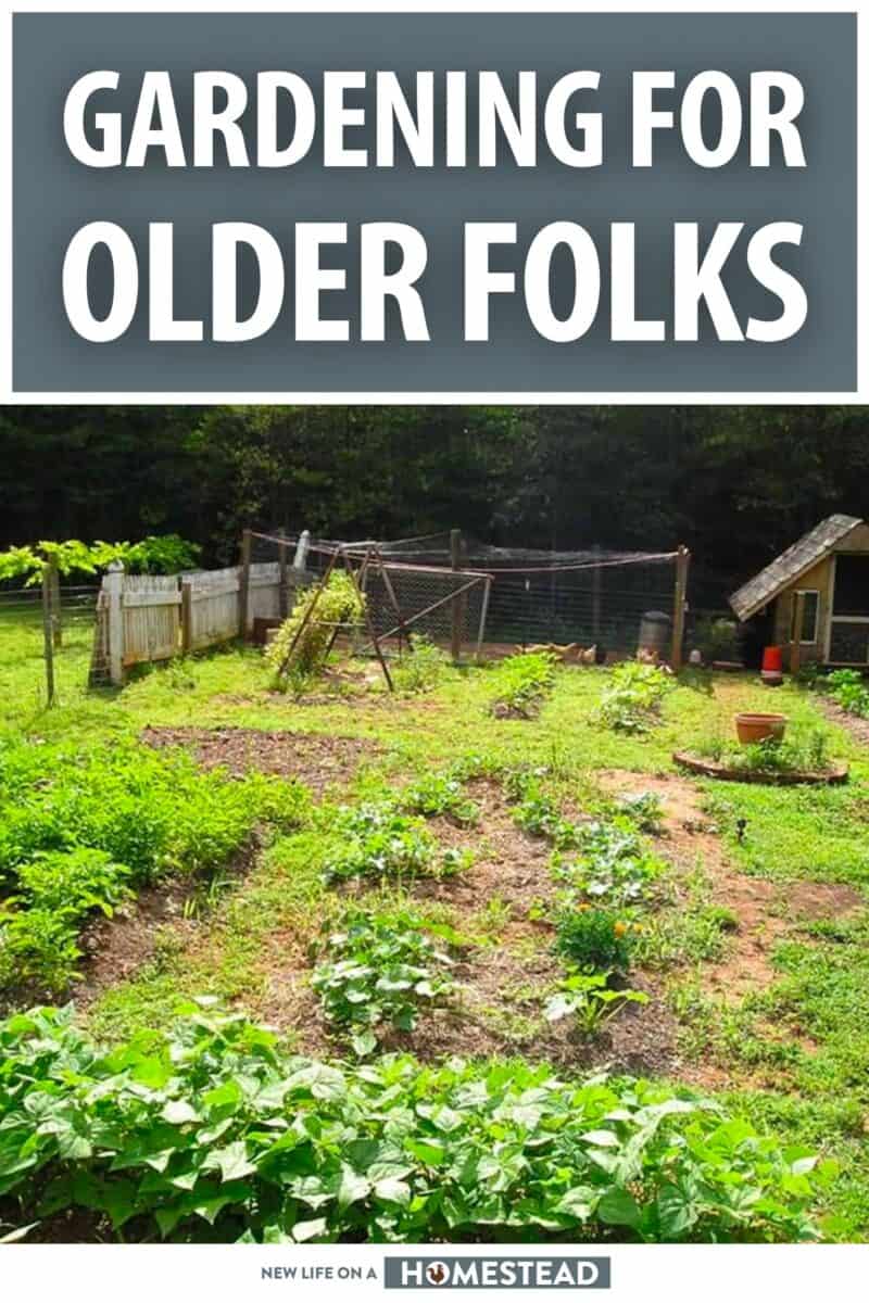 gardening for older folks pinterest