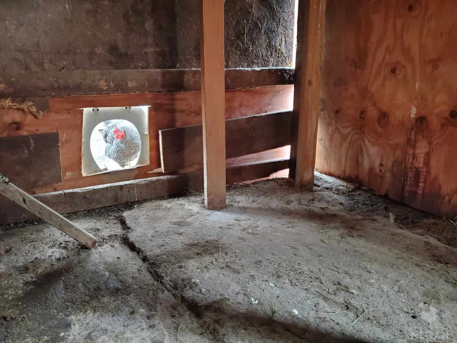 inside of a drafty chicken coop