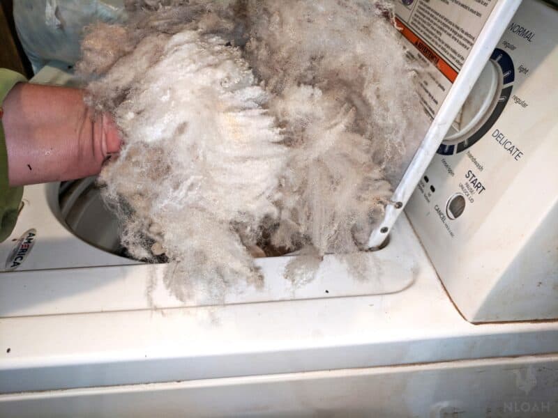 putting wool in the washer