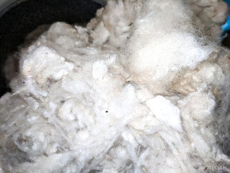 washed wool close-up