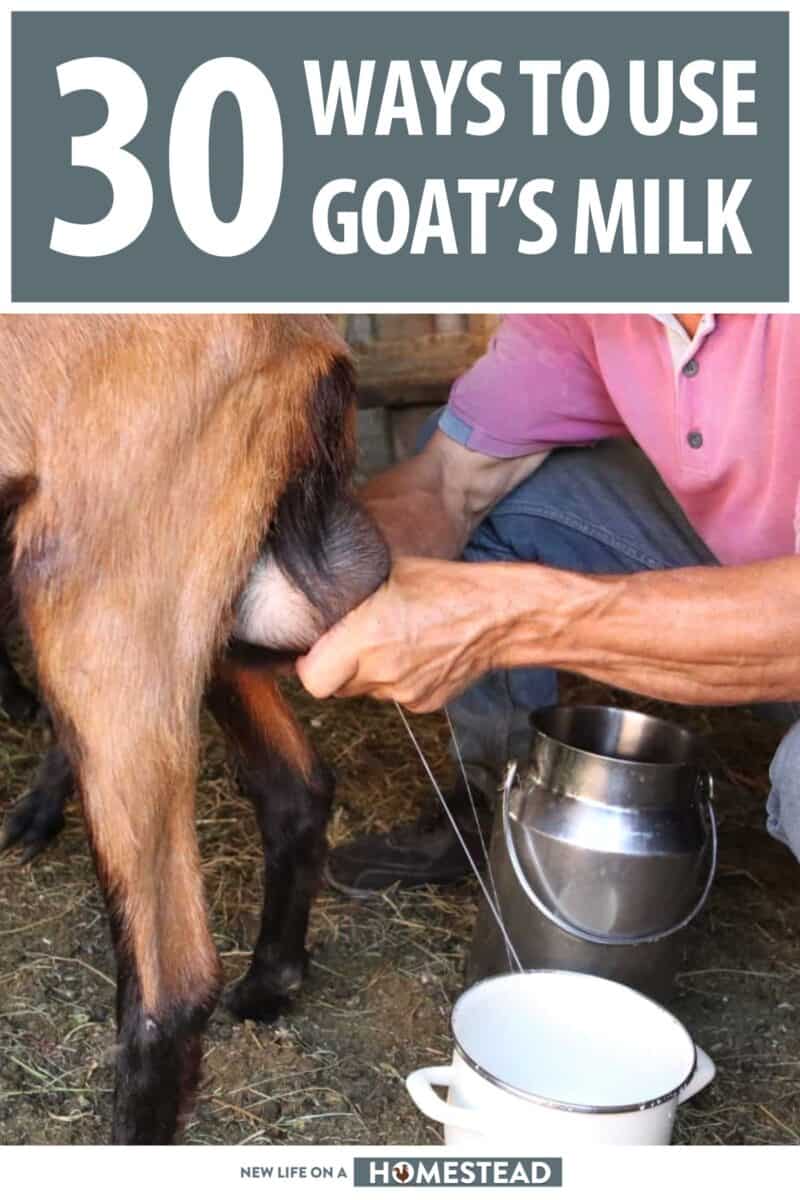 ways to use goat milk pinterest