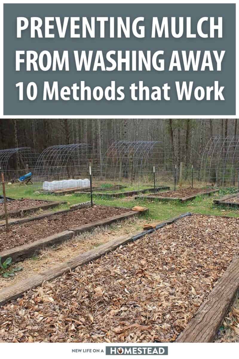 preventing mulch from washing away pinterest