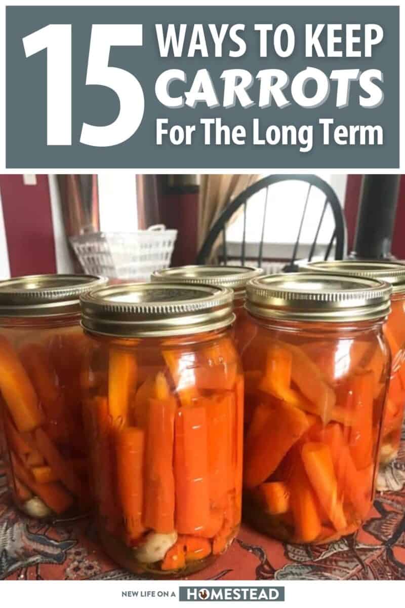 carrot preservation pinterest