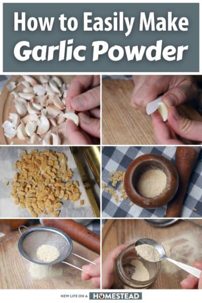 how to make garlic powder pinterest