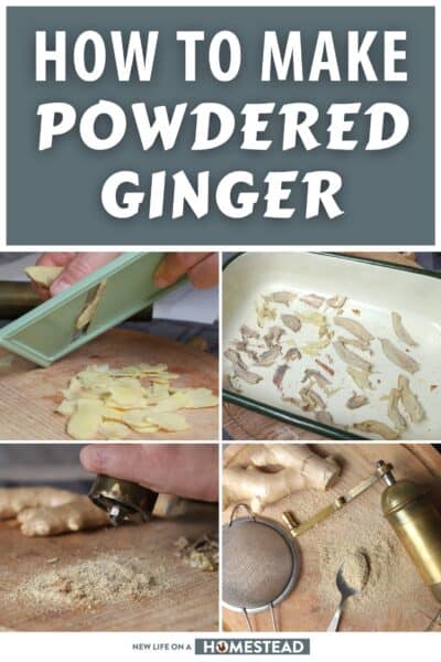 how to make powdered ginger pinterest