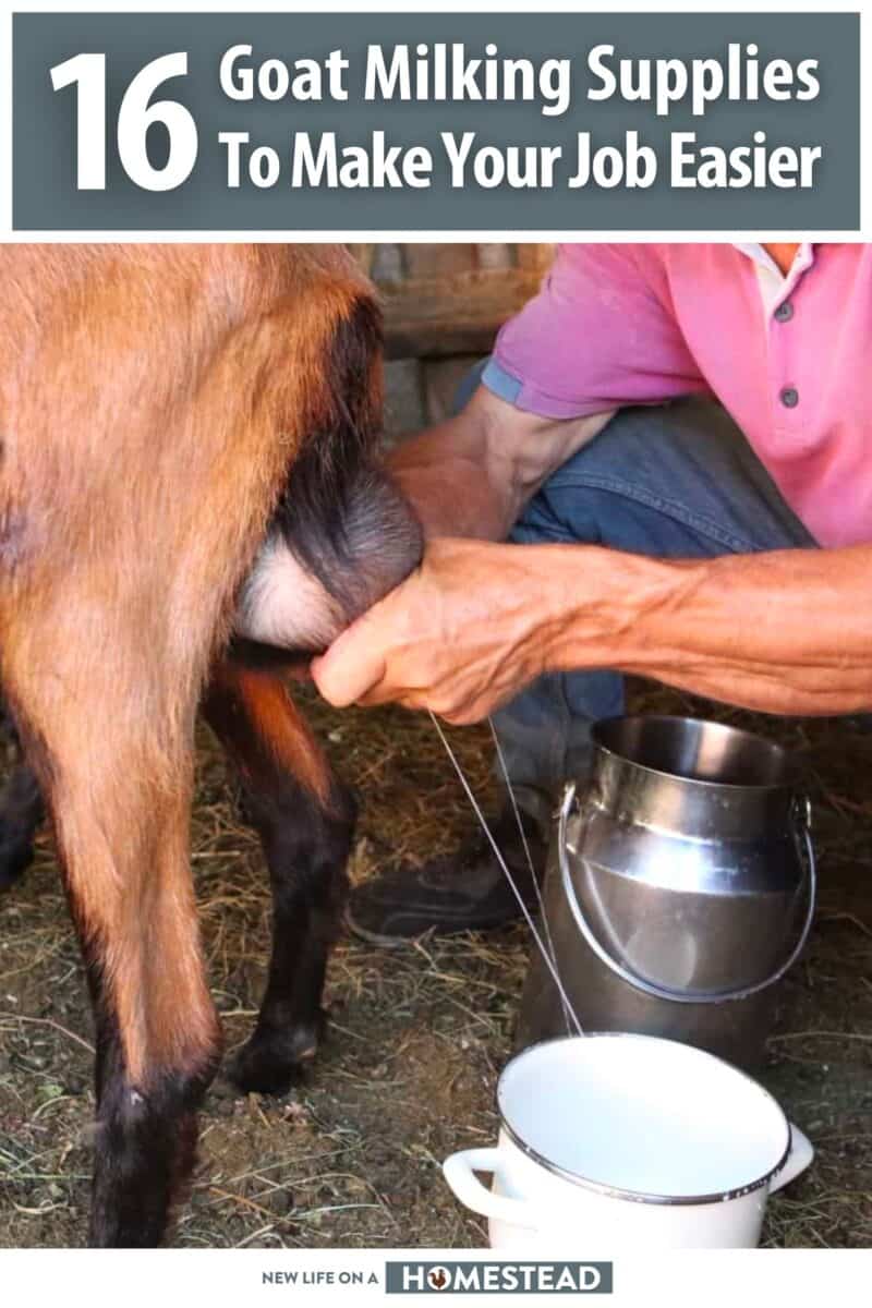 milking supplies for goats pinterest