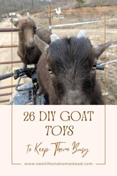goat toys pin image