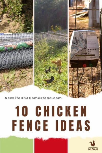 chicken fencing ideas pin image