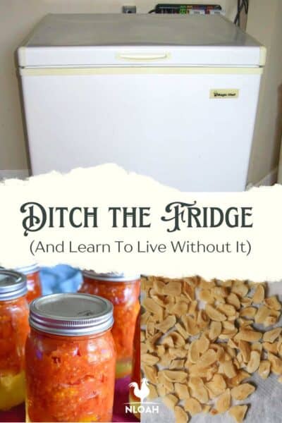 living without a fridge pin image