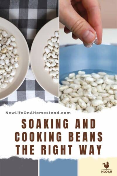 soaking beans pin image
