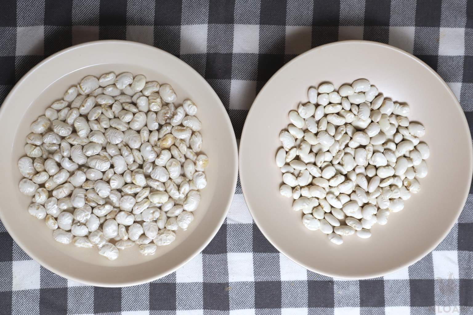 soft beans next to hard beans