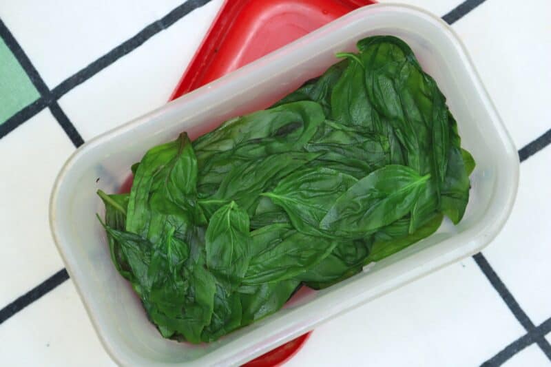 blanched and frozen basil leaves in container