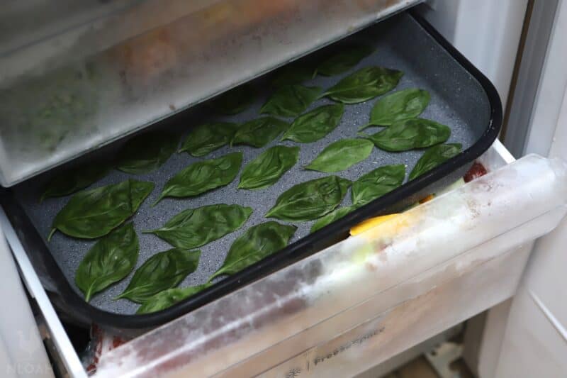 freezing basil leaves in freezer