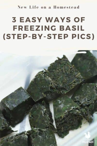freezing basil pinterest
