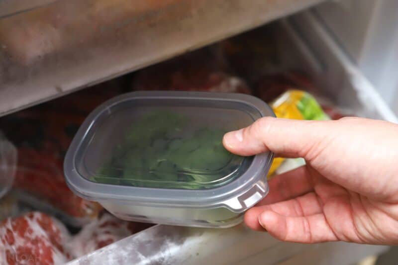 frozen basil leaves in freezer