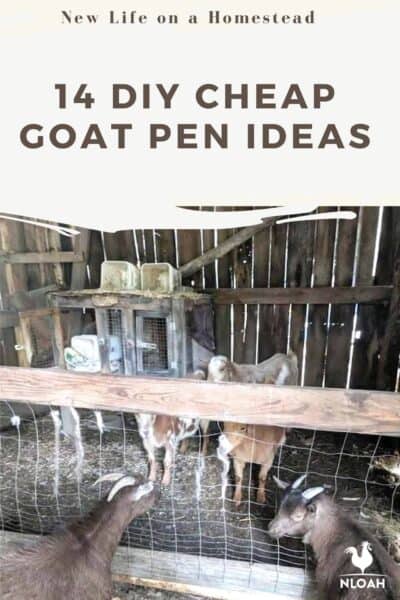 goat pens Pinterest