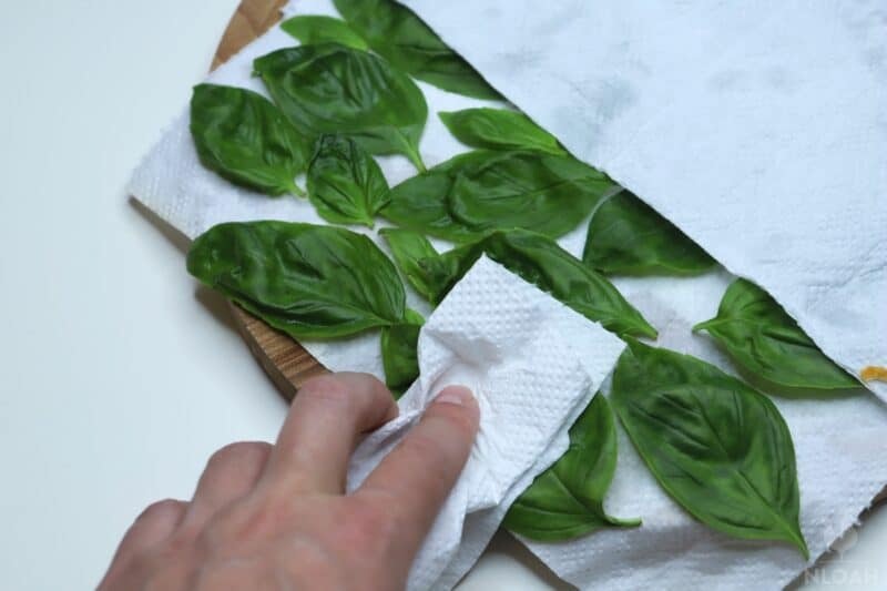 patting basil leaves dry