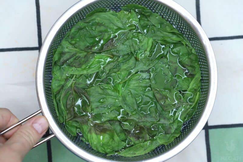 placing basil in ice water