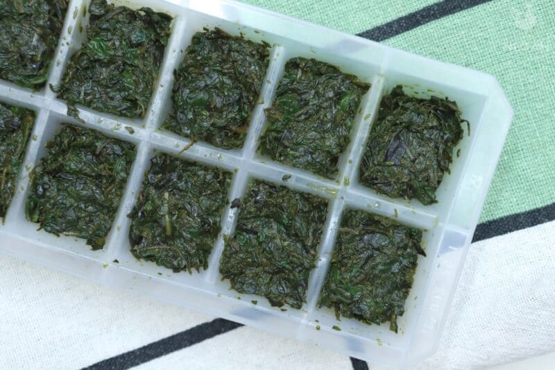 pureed basil in ice cube tray