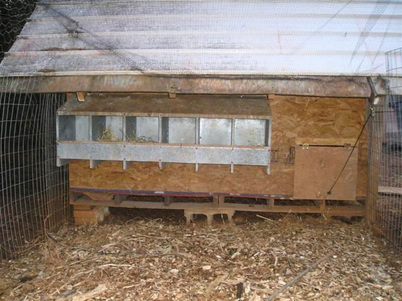 nesting boxes attached to outside of coop