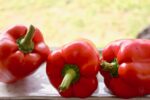 three harvested red bell peppers