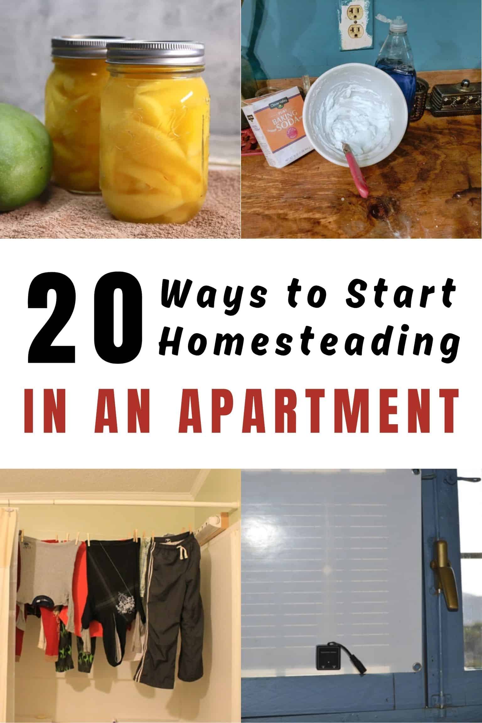 20 Ways to Start Homesteading in an Apartment TODAY