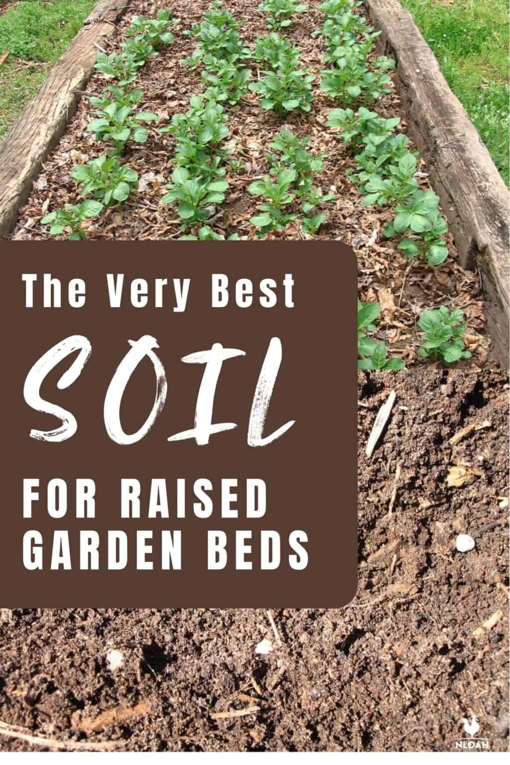 The Very Best Soil for Raised Garden Beds