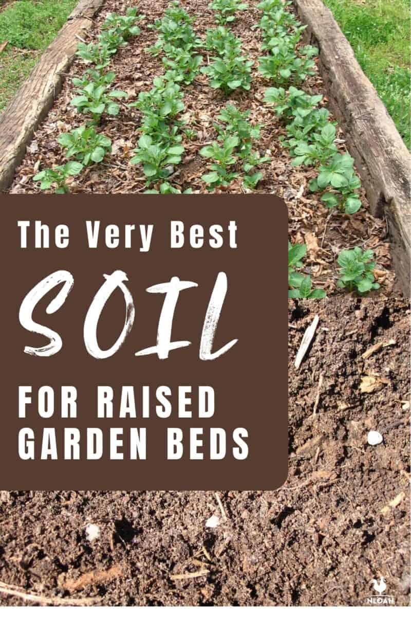 The Very Best Soil for Raised Garden Beds