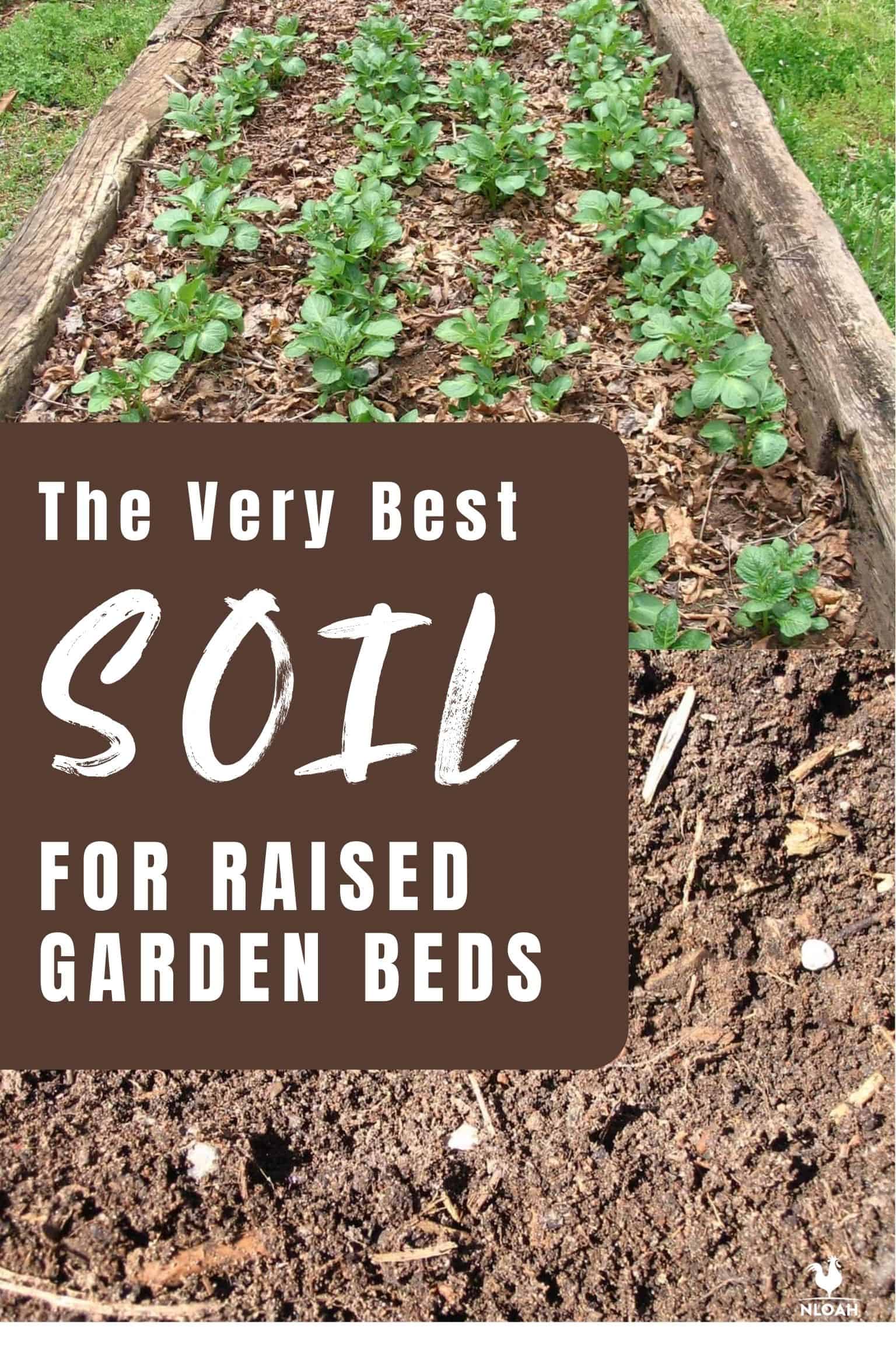 The Very Best Soil for Raised Garden Beds