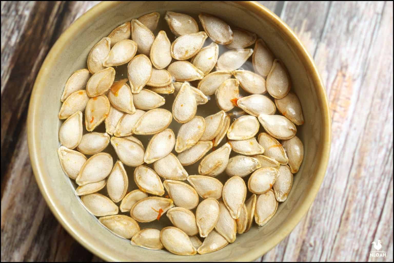 How To Plant Pumpkin Seeds