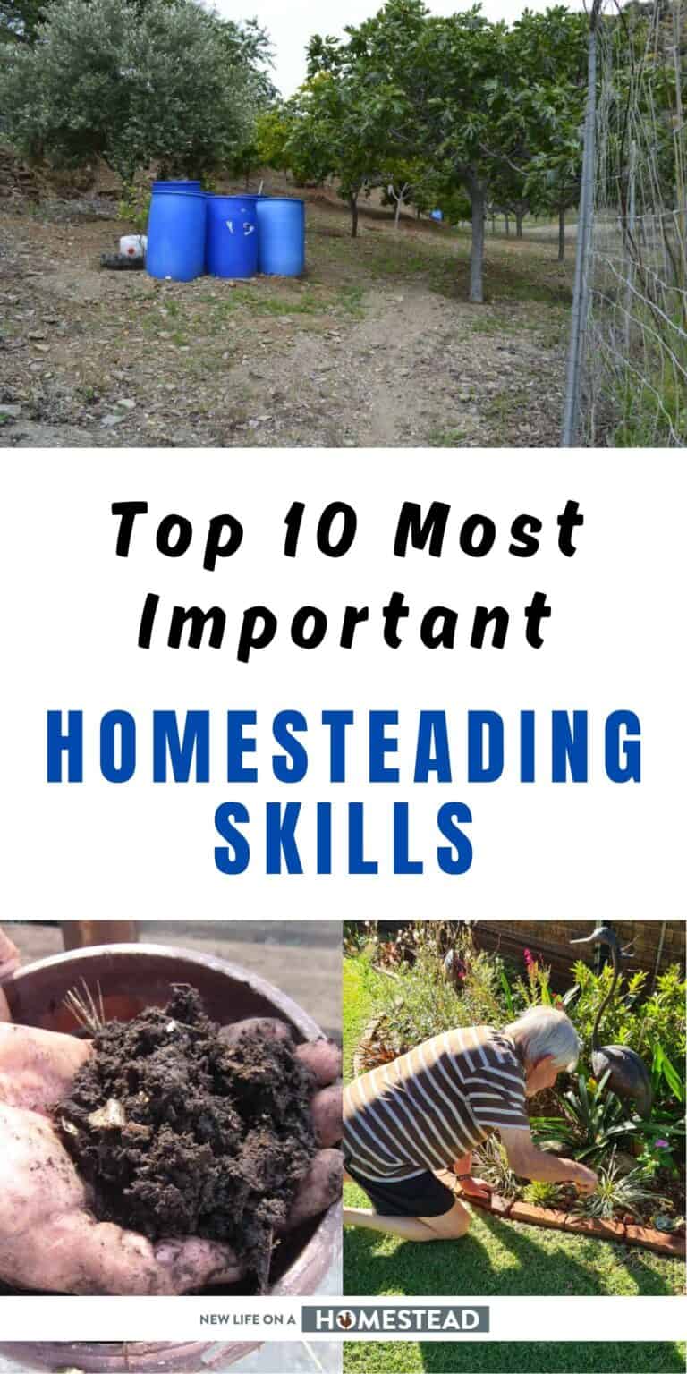 Top 10 Most Important Homesteading Skills to Focus On