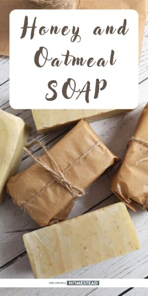 honey oatmeal soap Pinterest honey oatmeal soap Pinterest