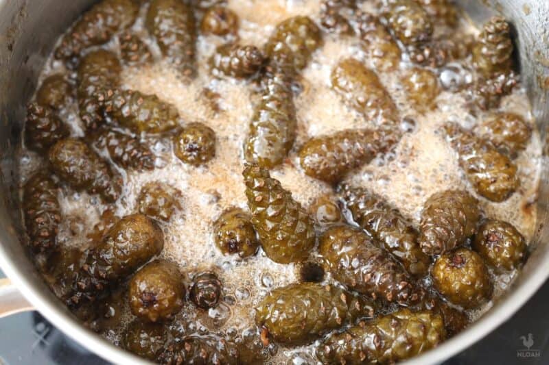 boiling pine cones a 3rd time