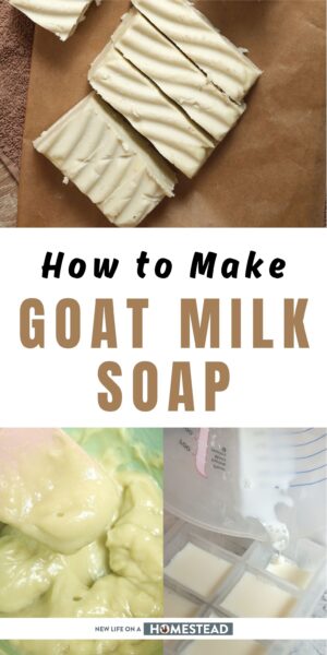 goat milk soap Pinterest goat milk soap Pinterest