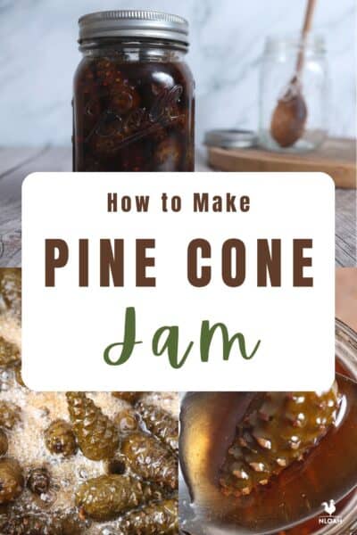pine cone jam pin pine cone jam pin