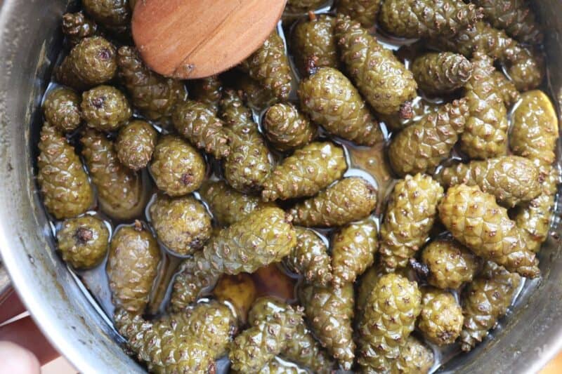 pine cones boiled a 2nd time