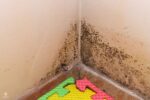 black mold on walls