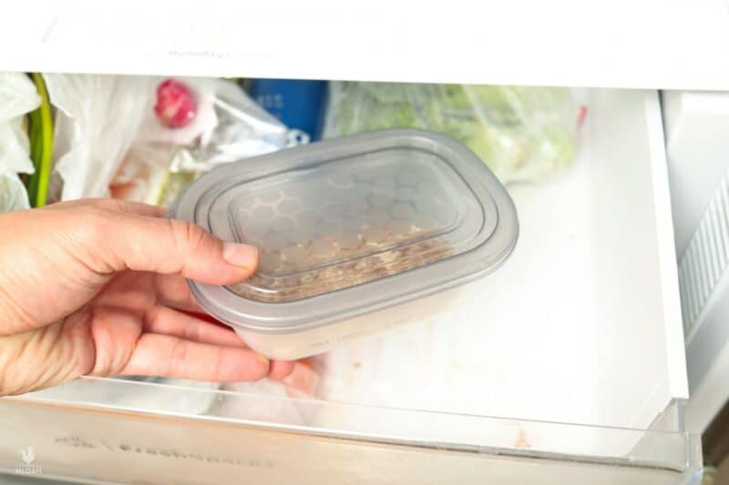mealworms in Tupperware in refrigerator