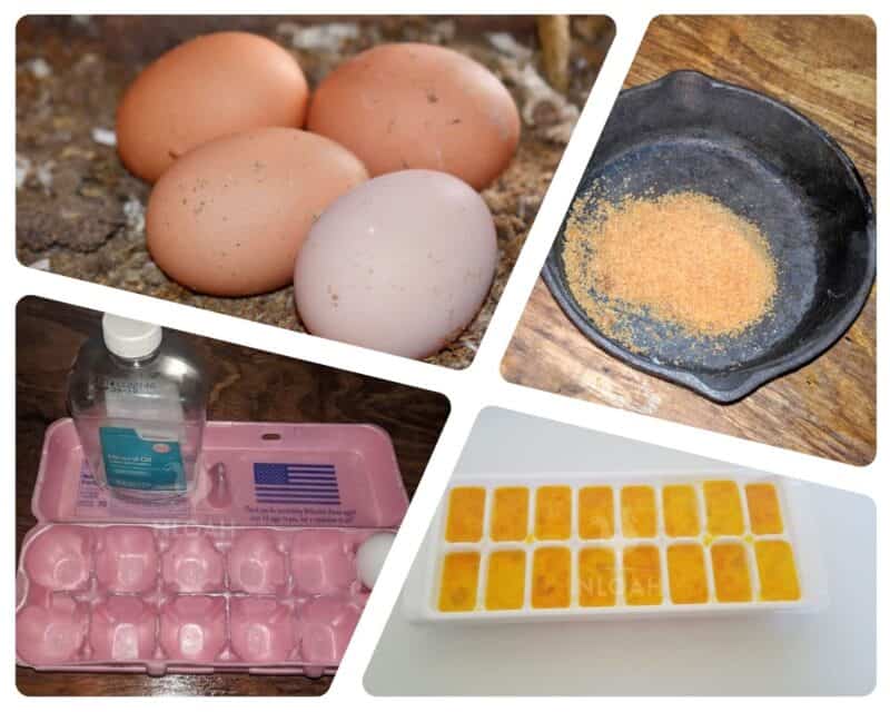 eggs preservation collage