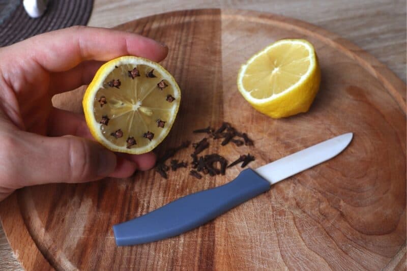 lemon and cloves citrus mosquito trap lemon and cloves citrus mosquito trap