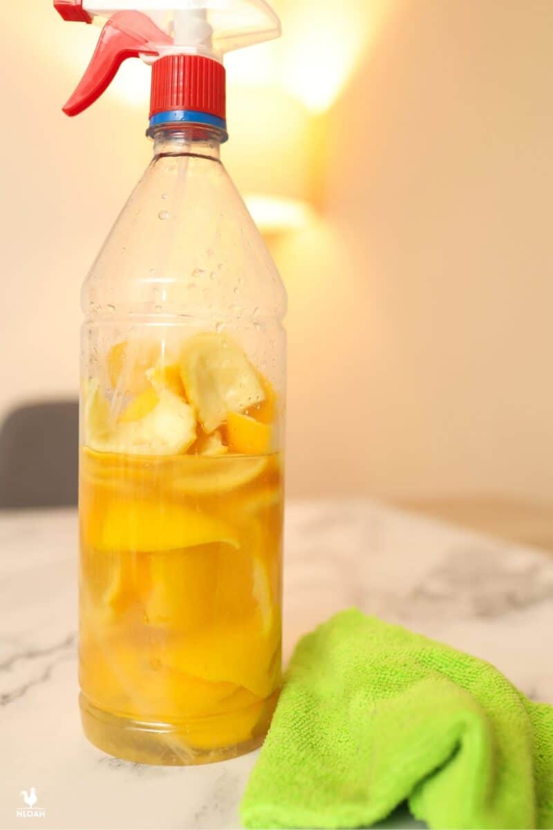 orange peels inside bottle diy cleaner