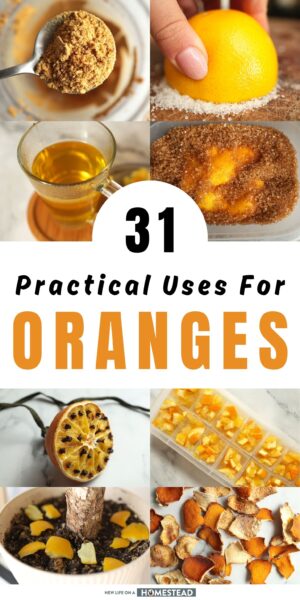 oranges uses Pinterest