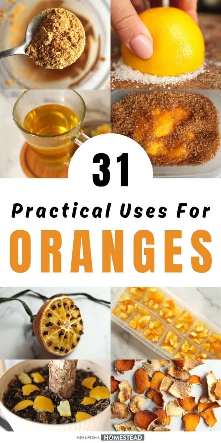 Here’s What to Do With Oranges: 31 Practical Uses