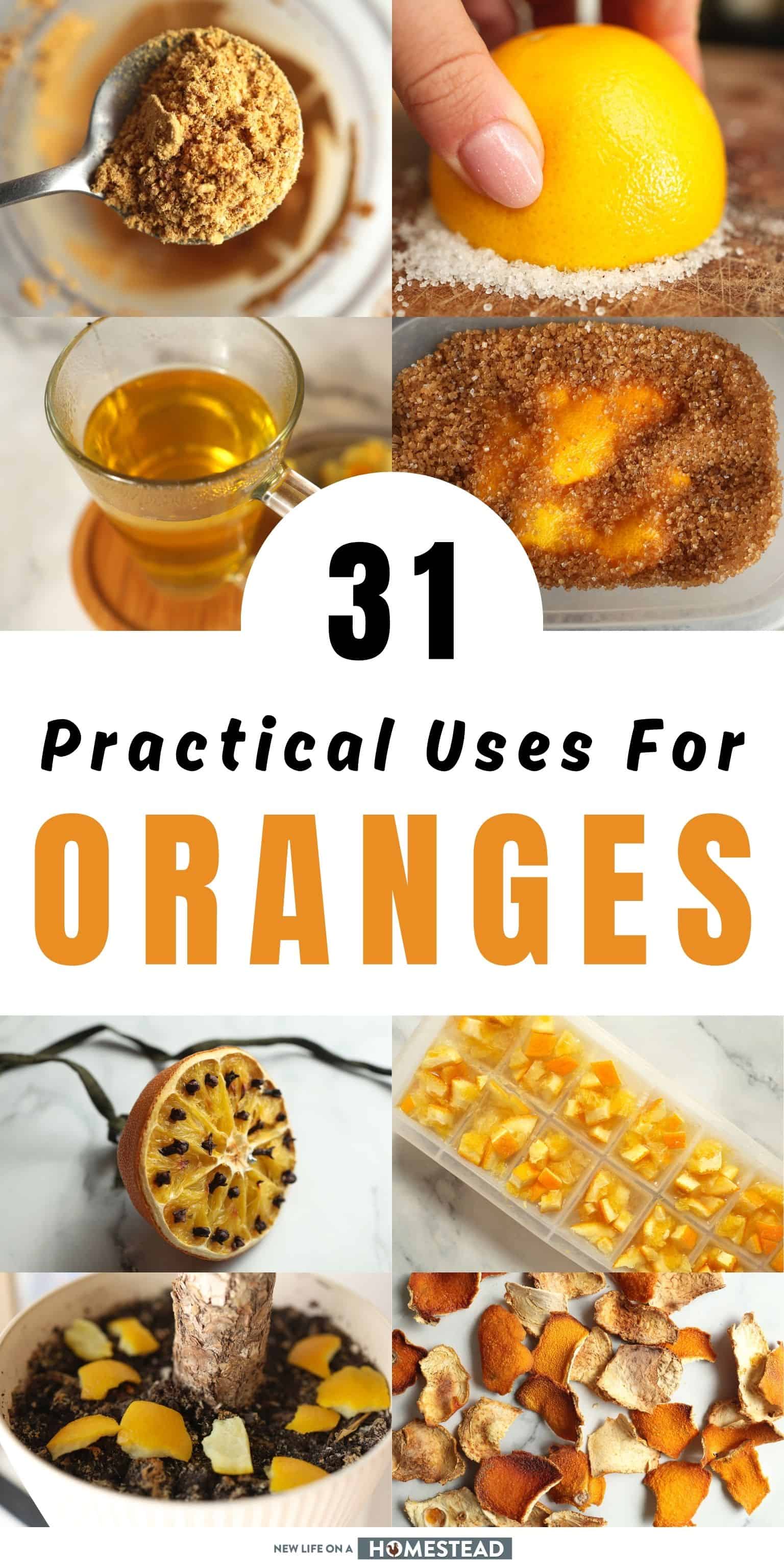 Here’s What to Do With Oranges: 31 Practical Uses