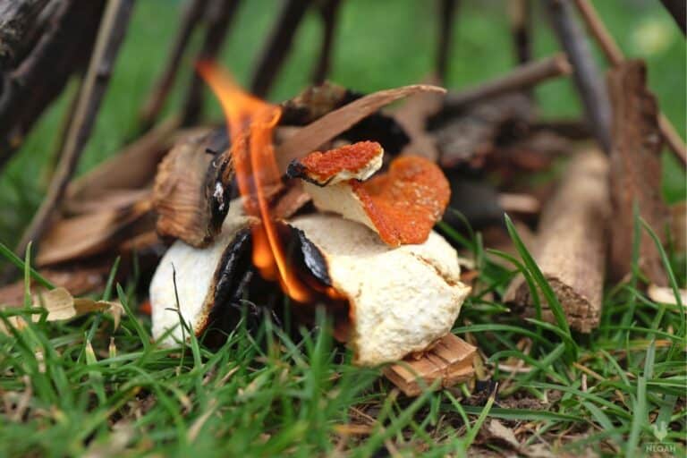 burning orange peels in campfire